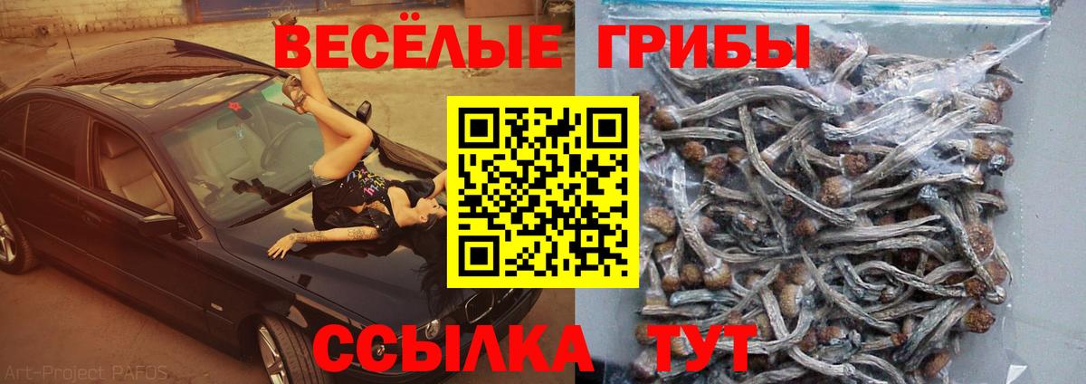 Галлюциногенные грибы Magic Shrooms  Вход с VPN  Клин 